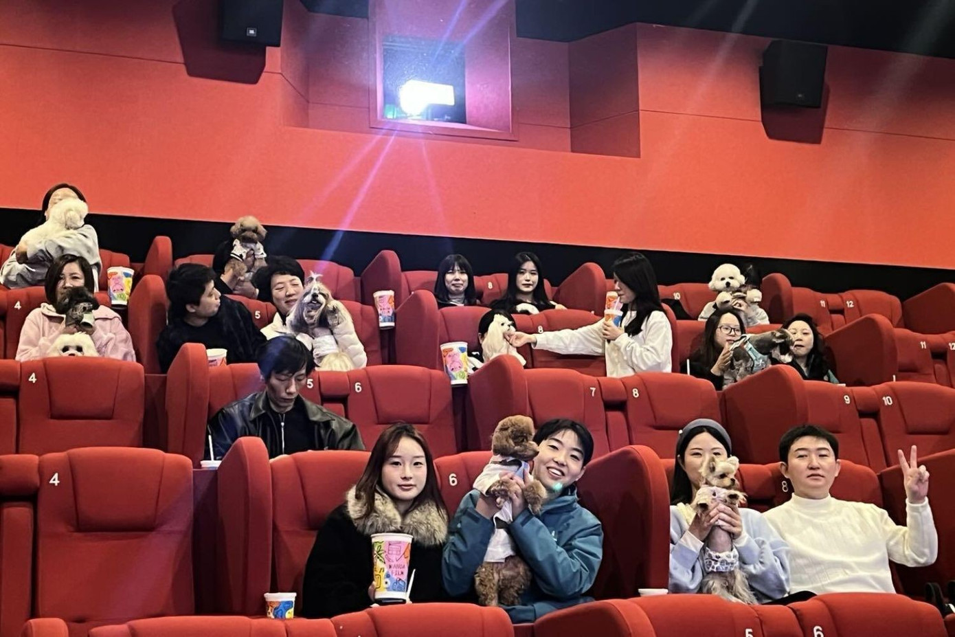 Mô hình được nhiều người yêu thú cưng hưởng ứng