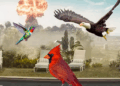 Hình ảnh về Bird Game 3 lan truyền mạnh mẽ trên TikTok và YouTube