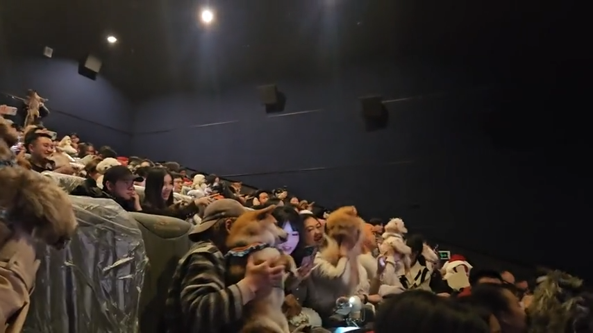 Trào lưu suất chiếu "Pet-friendly" gây sốt từ "Zootopia 2" tại rạp chiếu phim Trung Quốc