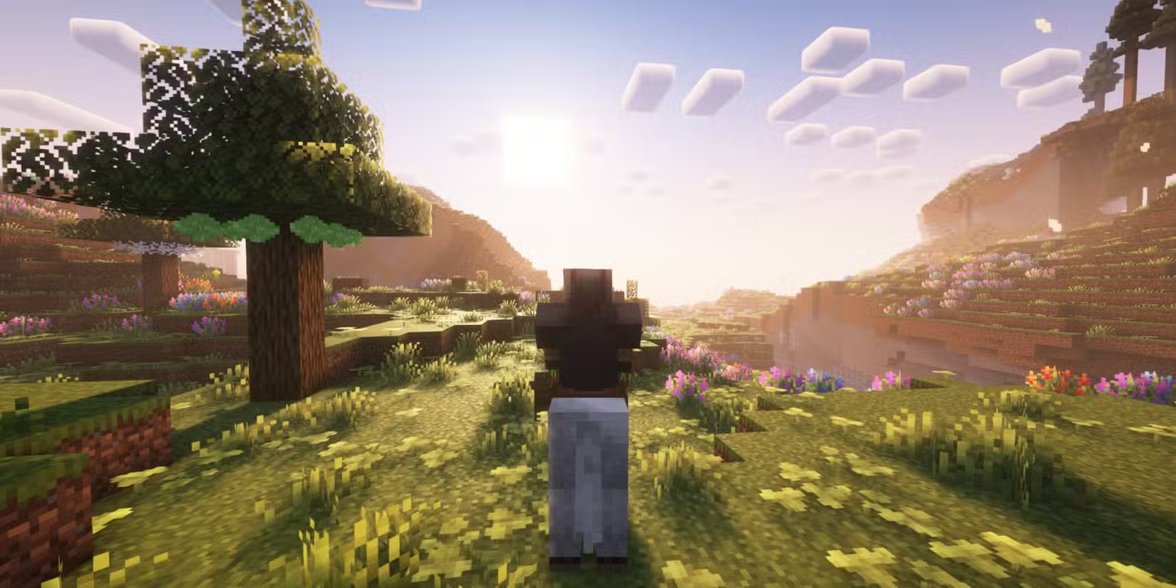 Trong Minecraft có tổng cộng 6 con vật đeo yên