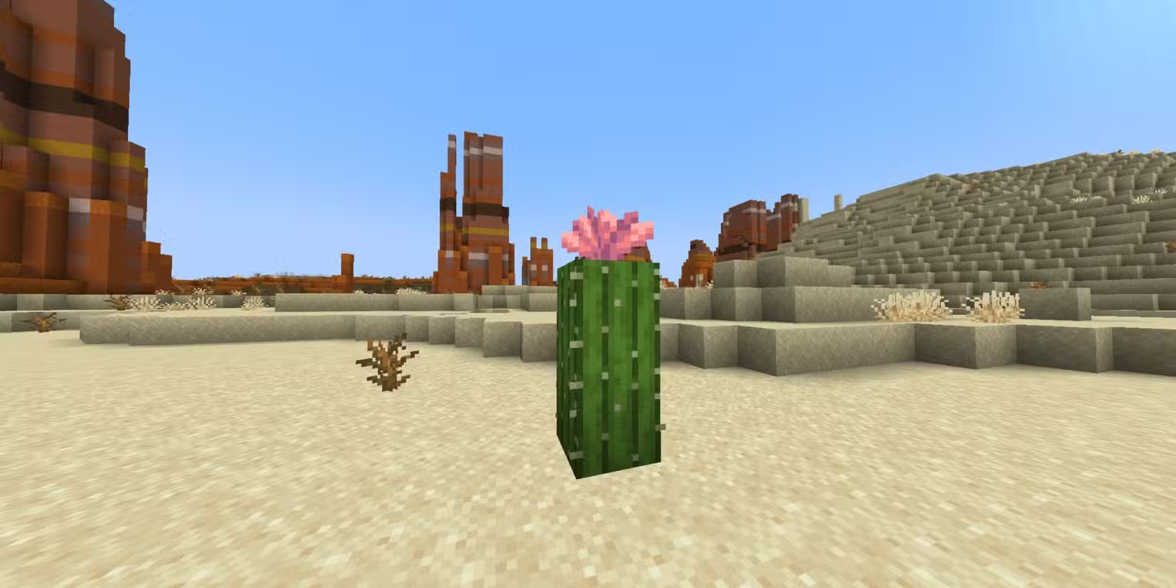 Một trong những lợi ích của Hoa xương rồng là tạo ra thuốc nhuộm hồng trong Minecraft